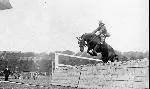 History MAS cork show jumping cropped 5/3