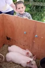 DC 200610 SUMMER SHOW 03.JPG