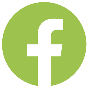 facebook social media link