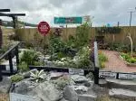 IMG-20250704-WA0006