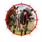 Brown Monochrome Minimalist Man and City Instagram Profile Picture image