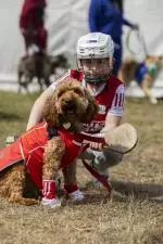 CMK17062025_Cork Summer Show_049