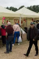 19-6-22 Cork_Summer_Show B3-02512