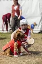 CMK_Cork Summer Show Extra_845 (1)